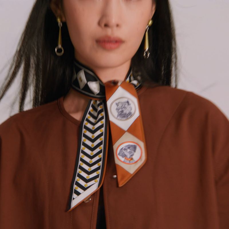 HERMES コリエドシアン柄ツイリー 楽天市場】【未使用品】 エルメス ツイリー コリエドシアン
